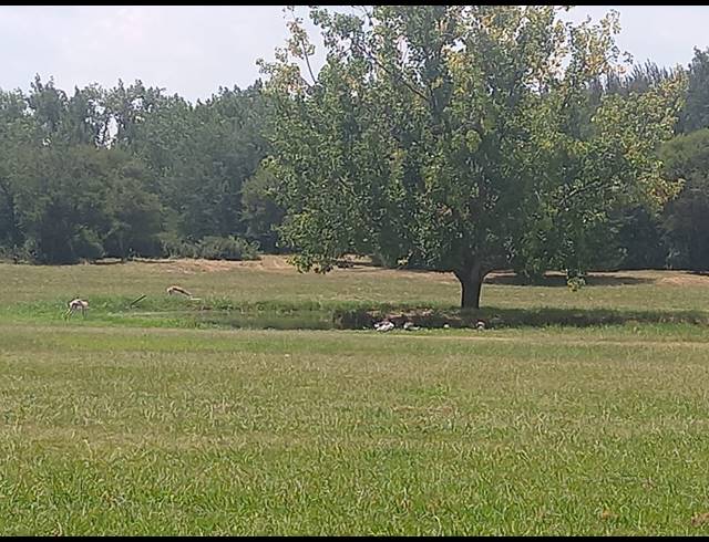 295M² VACANT LAND FOR SALE IN RISIVILLE